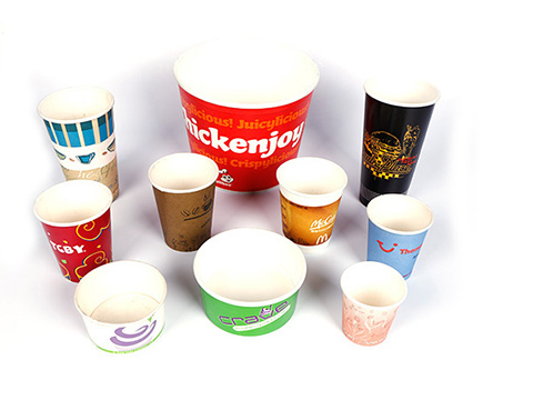 Disposable Paper Cup Machine For Fast Food